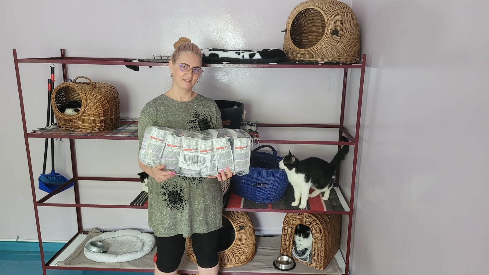 We donated cat-food to the local shelter